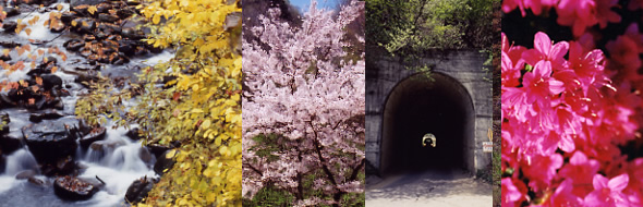 �b���a�̎��R�̎ʐ^