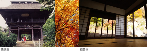 �i���@�E���_���̎ʐ^